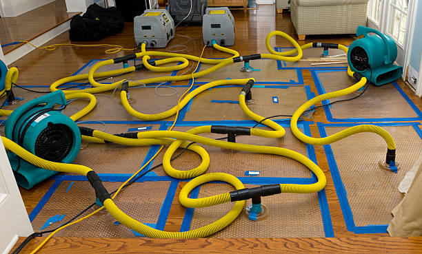 Professional Crawl Space Water Removal technician working in Reading, MA